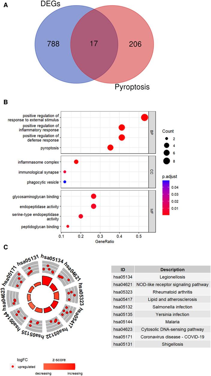 https://cdn.ncbi.nlm.nih.gov/pmc/blobs/86e4/10850341/530a60722735/fcvm-11-1340199-g004.jpg