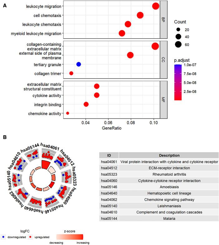 https://cdn.ncbi.nlm.nih.gov/pmc/blobs/86e4/10850341/789c42813f1d/fcvm-11-1340199-g003.jpg