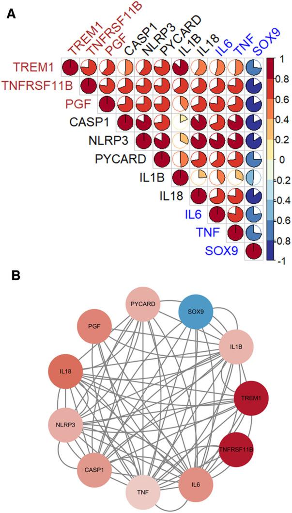 https://cdn.ncbi.nlm.nih.gov/pmc/blobs/86e4/10850341/a073de946750/fcvm-11-1340199-g008.jpg