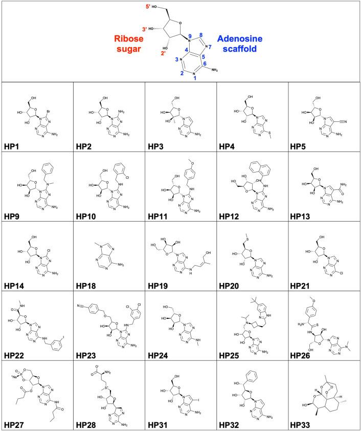 https://cdn.ncbi.nlm.nih.gov/pmc/blobs/86e5/9585173/2029ff21e3d1/fmolb-09-956095-g001.jpg