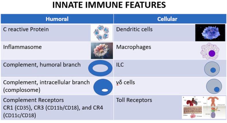 https://cdn.ncbi.nlm.nih.gov/pmc/blobs/86e6/8188057/698dd2938c08/gr1.jpg
