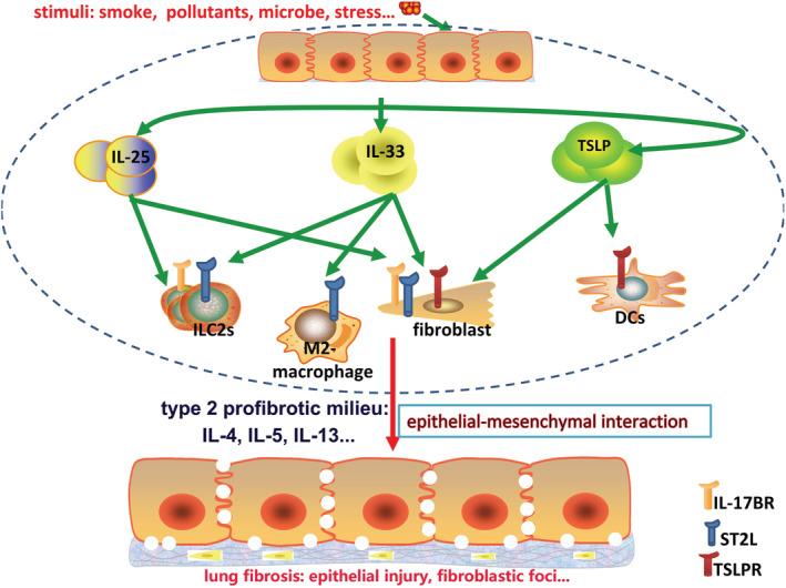 https://cdn.ncbi.nlm.nih.gov/pmc/blobs/86ea/9629992/799686b699e6/CRJ-16-696-g003.jpg