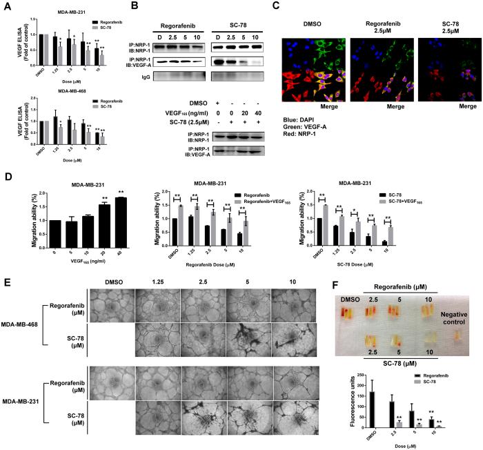https://cdn.ncbi.nlm.nih.gov/pmc/blobs/86ec/4929457/1909b84d32f1/srep28888-f5.jpg