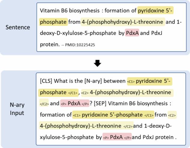 https://cdn.ncbi.nlm.nih.gov/pmc/blobs/86ee/11384730/70c434c71e3e/41597_2024_3835_Fig8_HTML.jpg
