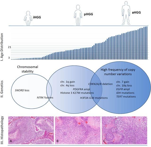 https://cdn.ncbi.nlm.nih.gov/pmc/blobs/86ee/5610026/8677067a2008/oncotarget-08-64564-g001.jpg