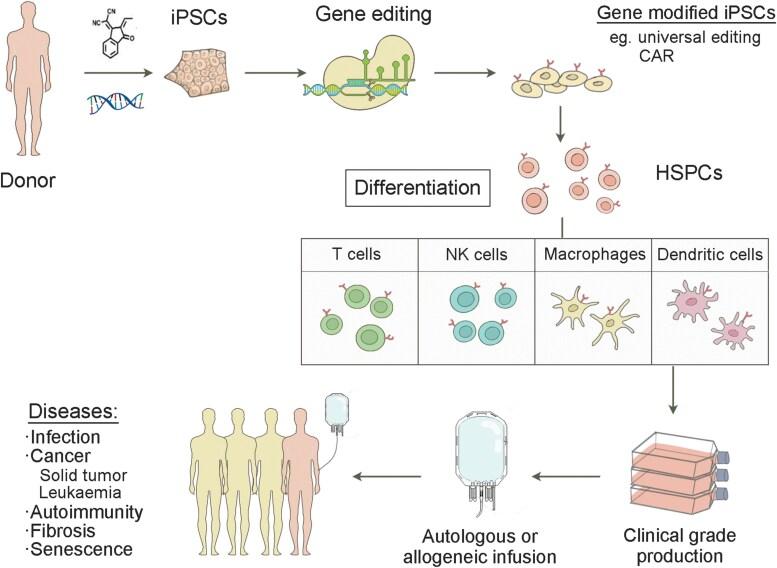 https://cdn.ncbi.nlm.nih.gov/pmc/blobs/86f0/11916900/78b67085712e/lnaf002_fig1.jpg