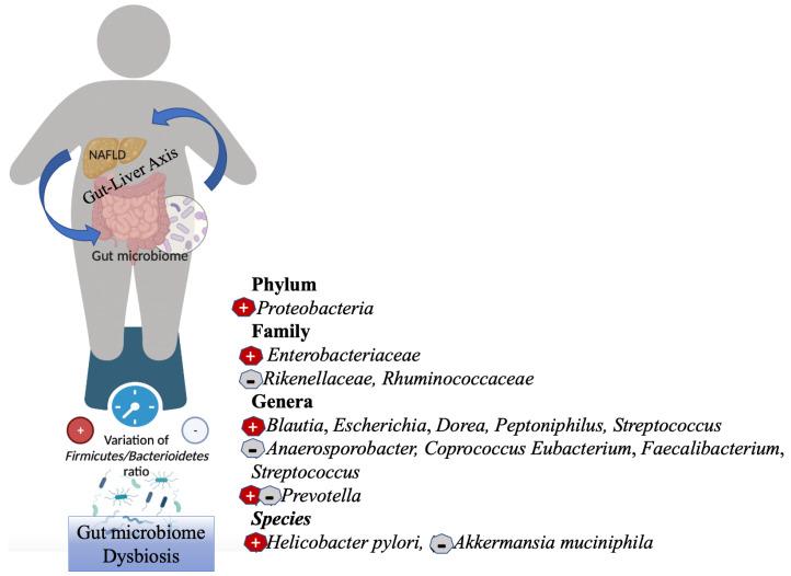https://cdn.ncbi.nlm.nih.gov/pmc/blobs/86f0/9687983/52f6235fbc6c/biology-11-01622-g002.jpg