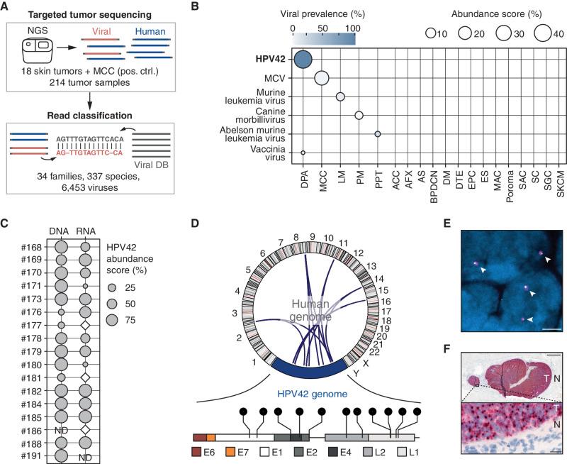 https://cdn.ncbi.nlm.nih.gov/pmc/blobs/86f0/9827110/36bf2e2351be/70fig1.jpg