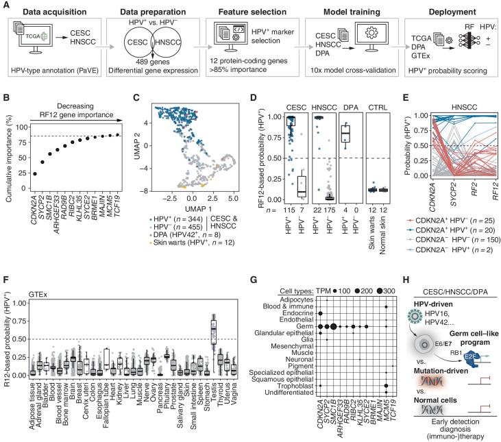 https://cdn.ncbi.nlm.nih.gov/pmc/blobs/86f0/9827110/394cecb3bc7c/70fig3.jpg