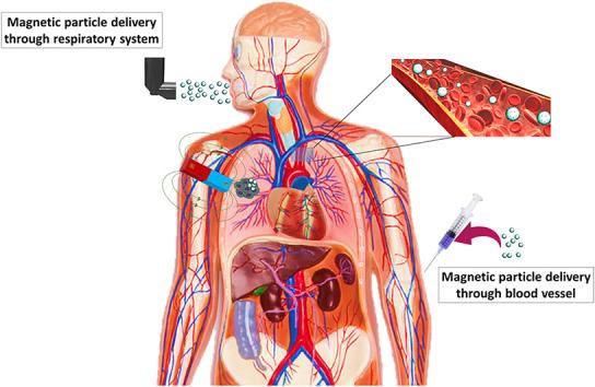 https://cdn.ncbi.nlm.nih.gov/pmc/blobs/86f1/7484624/270a7014c78d/ga1_lrg.jpg