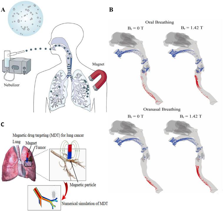 https://cdn.ncbi.nlm.nih.gov/pmc/blobs/86f1/7484624/eec92b9224c1/gr2_lrg.jpg
