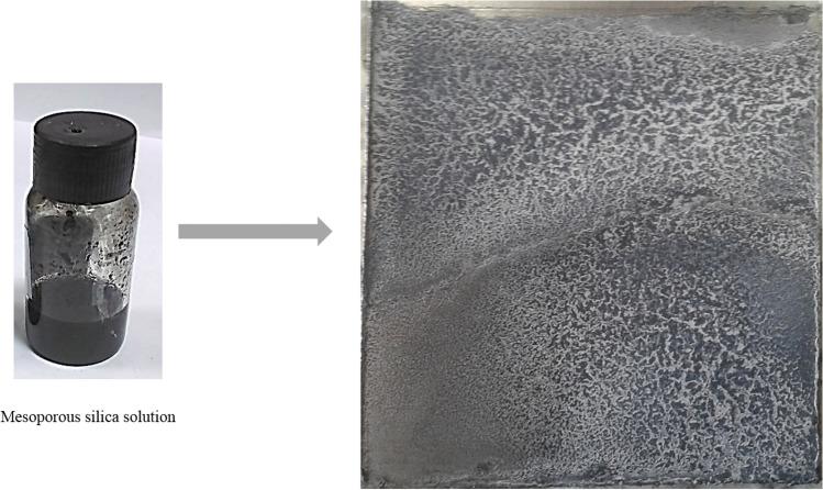 https://cdn.ncbi.nlm.nih.gov/pmc/blobs/86f2/12218237/db140aa38485/41598_2025_5915_Fig18_HTML.jpg