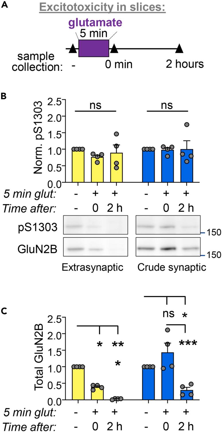 https://cdn.ncbi.nlm.nih.gov/pmc/blobs/86f2/8524186/40ee41a7d11e/gr3.jpg