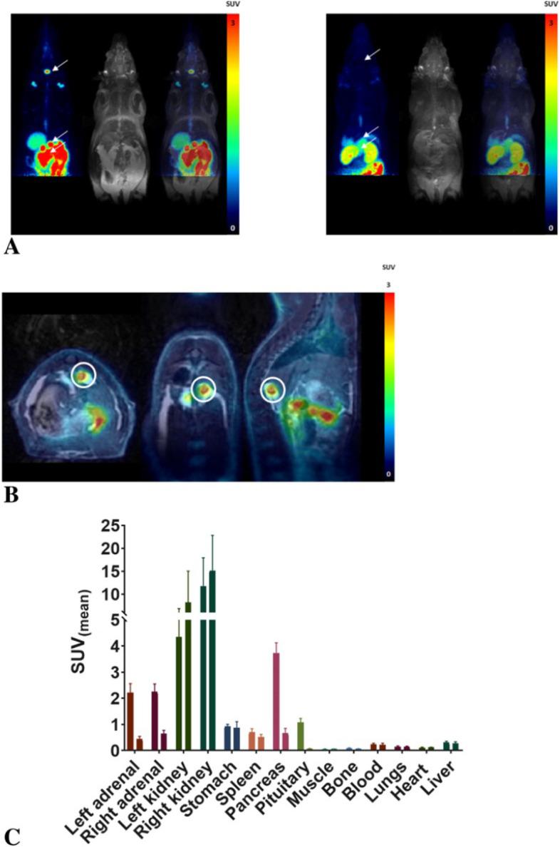 https://cdn.ncbi.nlm.nih.gov/pmc/blobs/86f2/9296747/66e9c9b9fd83/41181_2022_168_Fig3_HTML.jpg