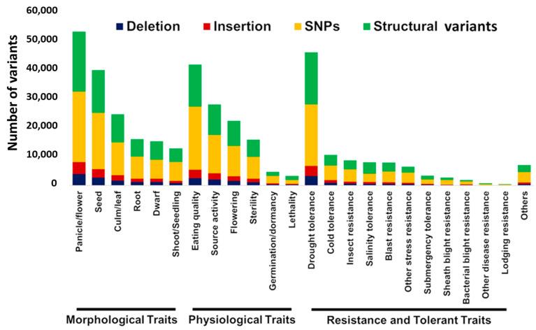 https://cdn.ncbi.nlm.nih.gov/pmc/blobs/86f3/8836195/705af7e43149/ijms-23-01608-g002.jpg