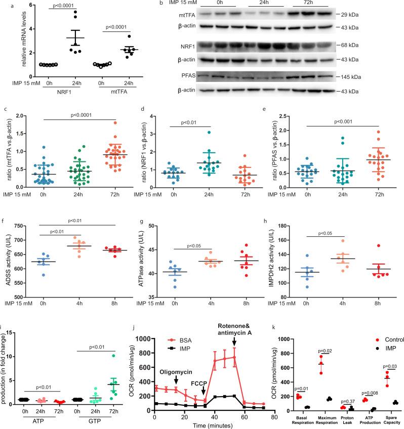 https://cdn.ncbi.nlm.nih.gov/pmc/blobs/86f4/9556615/42019ab95f49/42003_2022_4041_Fig5_HTML.jpg