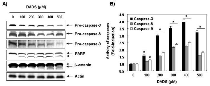 https://cdn.ncbi.nlm.nih.gov/pmc/blobs/86f6/3509573/bc6620ac2f53/ijms-13-14158f5.jpg