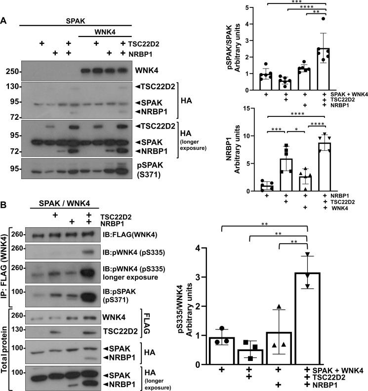 https://cdn.ncbi.nlm.nih.gov/pmc/blobs/86f7/12266109/dfa63edc1f01/sciadv.adv2083-f4.jpg
