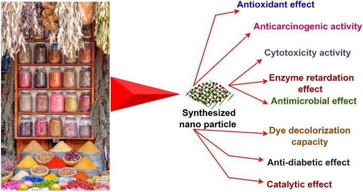 https://cdn.ncbi.nlm.nih.gov/pmc/blobs/86f8/9551254/12fa383b0532/12010_2022_4132_Fig5_HTML.jpg