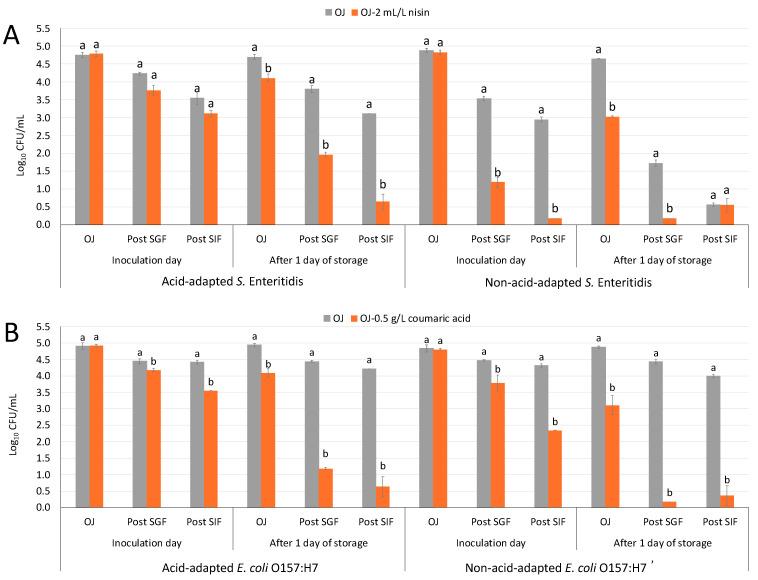 https://cdn.ncbi.nlm.nih.gov/pmc/blobs/86f9/12024196/13e242f98f65/antibiotics-14-00335-g003.jpg