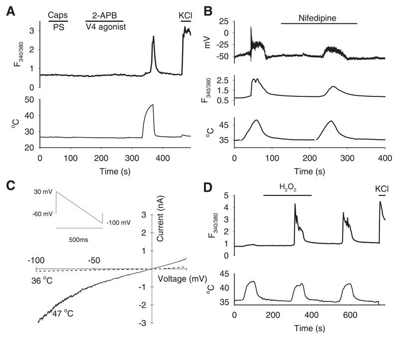 https://cdn.ncbi.nlm.nih.gov/pmc/blobs/86fc/5720344/4a4a7c3c0674/emss-69059-f002.jpg