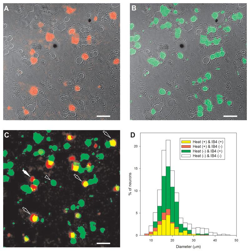 https://cdn.ncbi.nlm.nih.gov/pmc/blobs/86fc/5720344/e404de10fbb1/emss-69059-f007.jpg