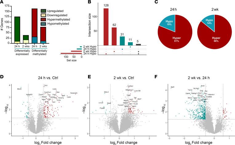 https://cdn.ncbi.nlm.nih.gov/pmc/blobs/86fe/12288969/00e62656a282/jciinsight-10-188612-g060.jpg