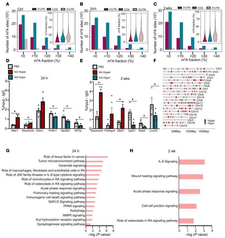 https://cdn.ncbi.nlm.nih.gov/pmc/blobs/86fe/12288969/52adafc301da/jciinsight-10-188612-g061.jpg