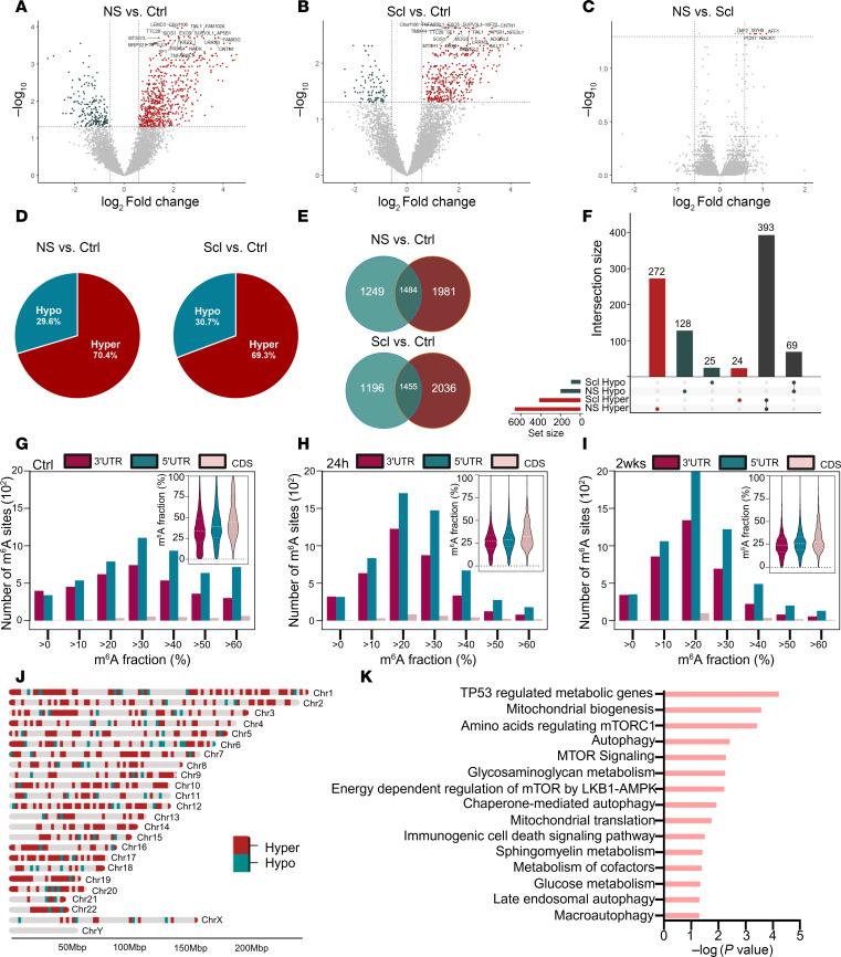 https://cdn.ncbi.nlm.nih.gov/pmc/blobs/86fe/12288969/a3deeebe04d9/jciinsight-10-188612-g062.jpg