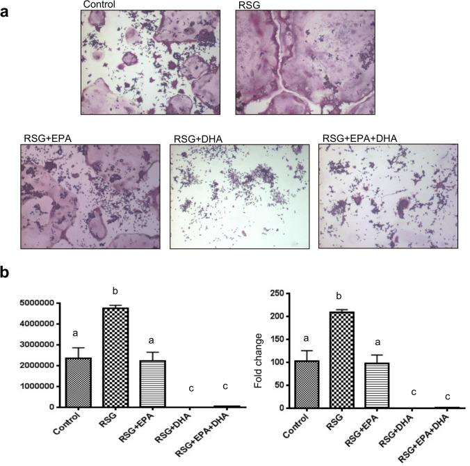 https://cdn.ncbi.nlm.nih.gov/pmc/blobs/86fe/8121944/ed4361bd57f6/41598_2021_89827_Fig2_HTML.jpg