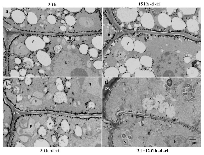 https://cdn.ncbi.nlm.nih.gov/pmc/blobs/86fe/9958736/b06d31a8a703/plants-12-00799-g007.jpg