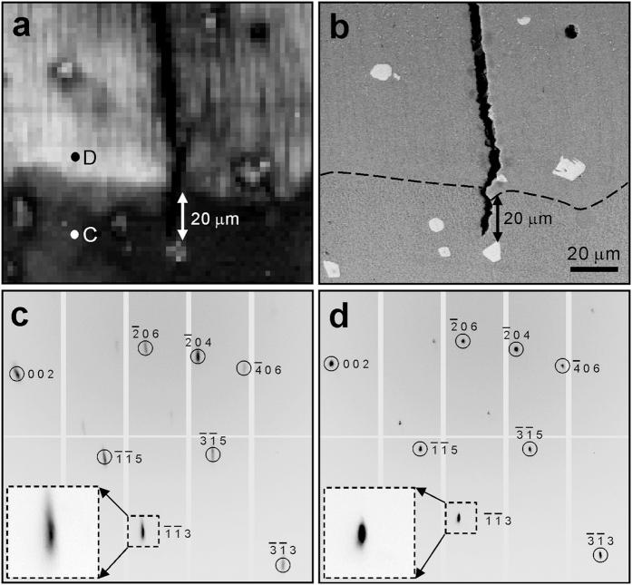 https://cdn.ncbi.nlm.nih.gov/pmc/blobs/8701/4908403/3278c3241680/srep28144-f2.jpg