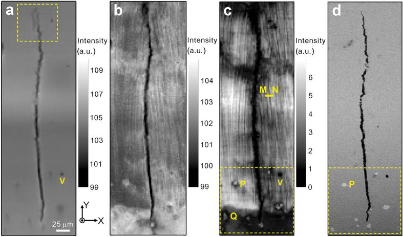 https://cdn.ncbi.nlm.nih.gov/pmc/blobs/8701/4908403/de13972c506a/srep28144-f1.jpg