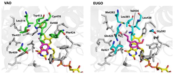 https://cdn.ncbi.nlm.nih.gov/pmc/blobs/8702/6017454/3734fffaa351/molecules-23-00164-g003.jpg
