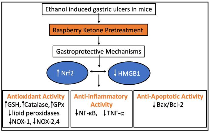 https://cdn.ncbi.nlm.nih.gov/pmc/blobs/8705/8309185/976949a18acd/plants-10-01323-g004.jpg
