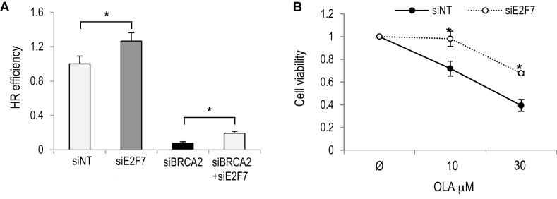 https://cdn.ncbi.nlm.nih.gov/pmc/blobs/8706/5961008/26b4c5e59c22/gky218fig7.jpg
