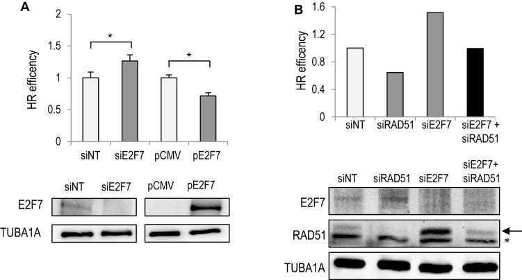 https://cdn.ncbi.nlm.nih.gov/pmc/blobs/8706/5961008/3e9f8d5f67af/gky218fig6.jpg