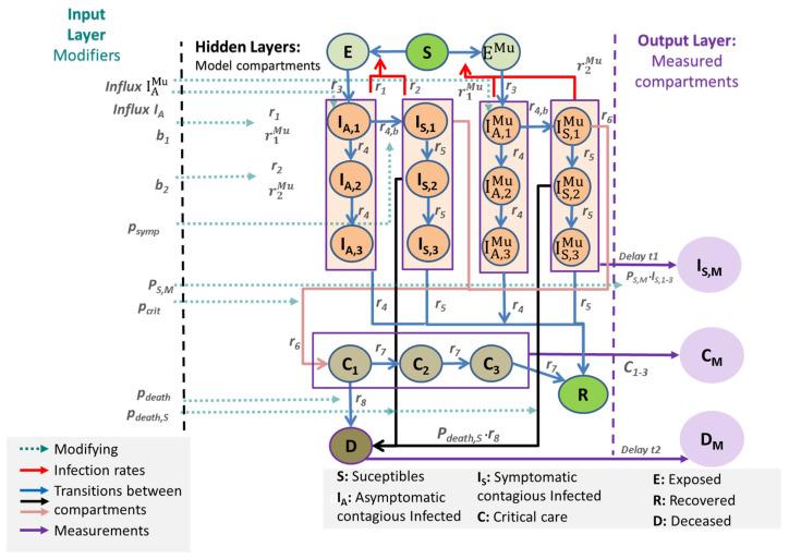 https://cdn.ncbi.nlm.nih.gov/pmc/blobs/8708/9316470/7e6c095a6984/viruses-14-01468-g001.jpg