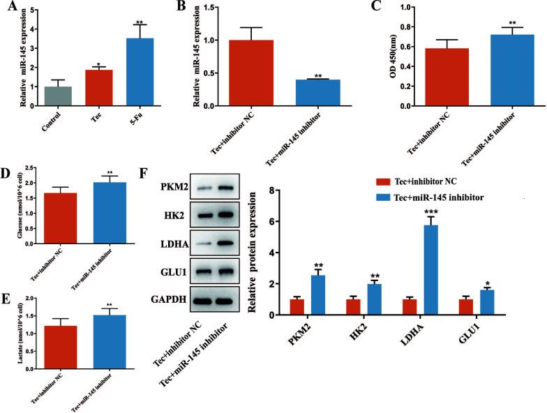 https://cdn.ncbi.nlm.nih.gov/pmc/blobs/870a/11340290/8f58091b0473/CCDT-24-1071_F2.jpg