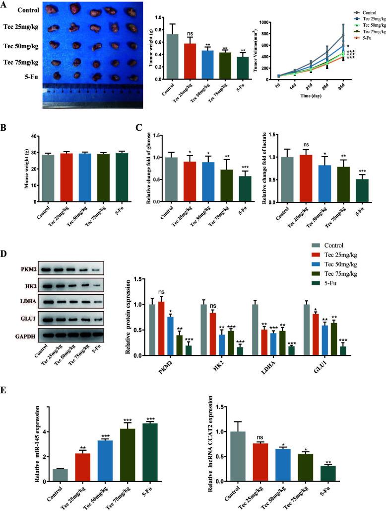 https://cdn.ncbi.nlm.nih.gov/pmc/blobs/870a/11340290/9a1ab9460a5f/CCDT-24-1071_F4.jpg