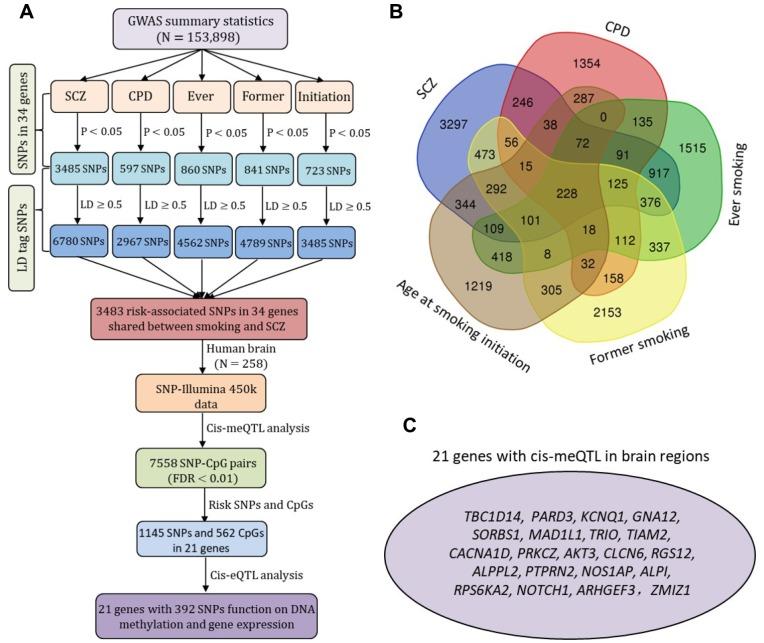 https://cdn.ncbi.nlm.nih.gov/pmc/blobs/870a/7041787/8ce99767f7b0/aging-12-102735-g004.jpg