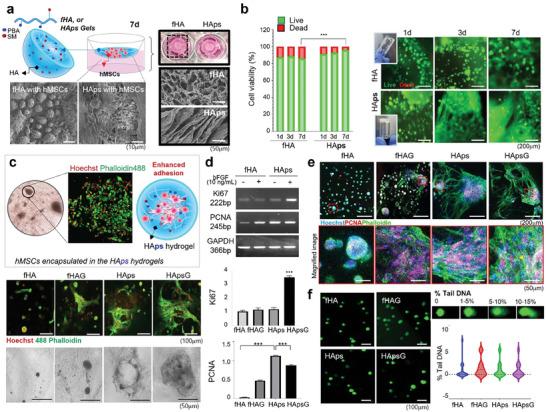https://cdn.ncbi.nlm.nih.gov/pmc/blobs/870c/11040337/241f7a2daa96/ADVS-11-2304861-g004.jpg