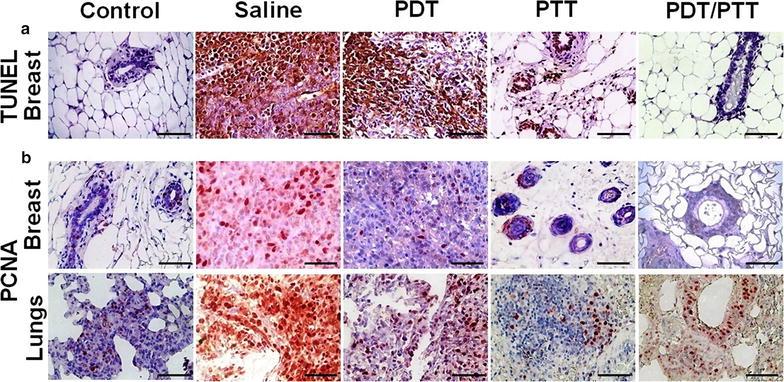 https://cdn.ncbi.nlm.nih.gov/pmc/blobs/870e/5789561/4f0da9b1c827/12951_2018_333_Fig8_HTML.jpg