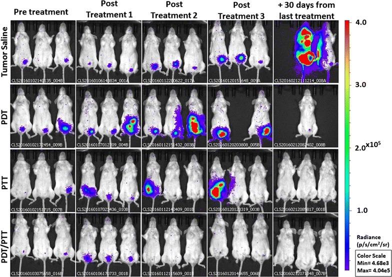https://cdn.ncbi.nlm.nih.gov/pmc/blobs/870e/5789561/d160090eed8a/12951_2018_333_Fig5_HTML.jpg