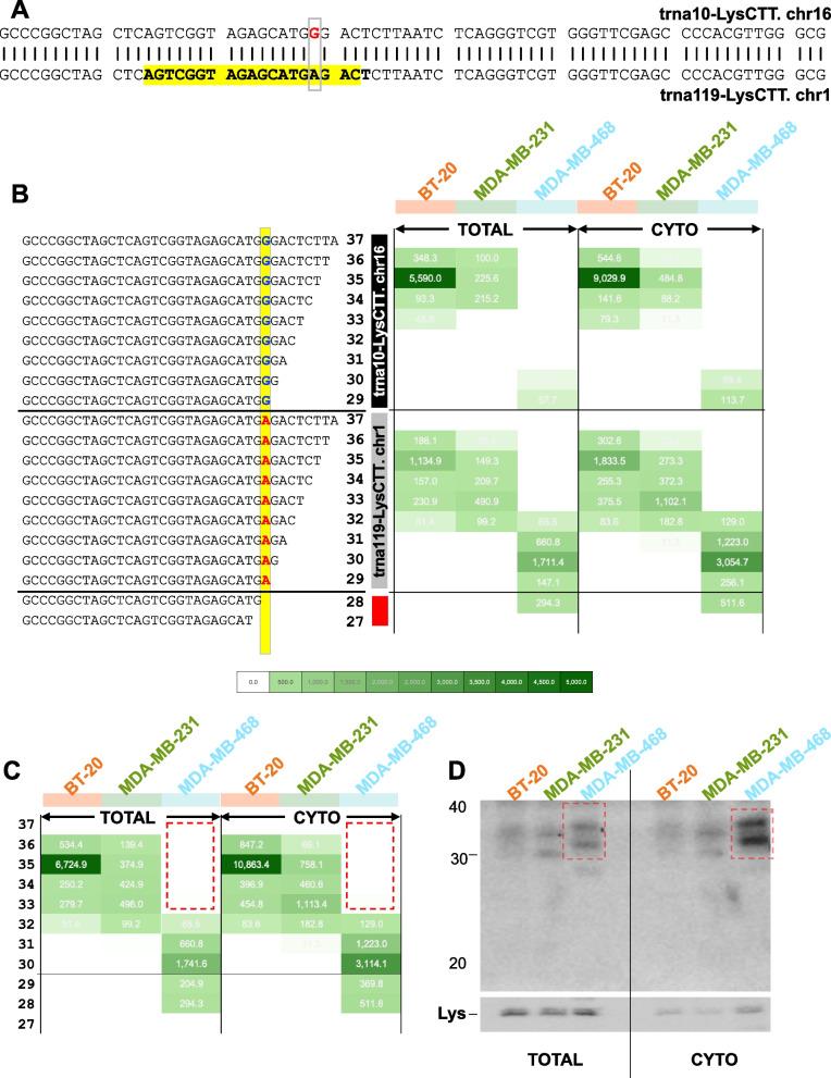 https://cdn.ncbi.nlm.nih.gov/pmc/blobs/870f/11397057/88a99a847163/12915_2024_1970_Fig6_HTML.jpg