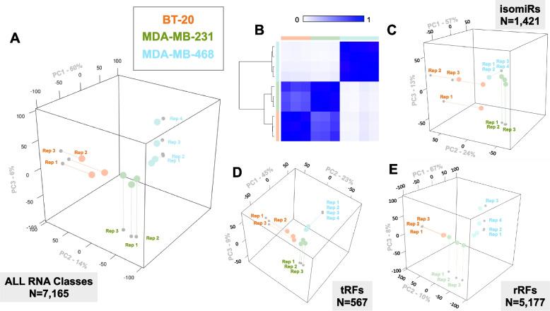 https://cdn.ncbi.nlm.nih.gov/pmc/blobs/870f/11397057/adec2a99c72b/12915_2024_1970_Fig2_HTML.jpg