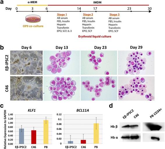 https://cdn.ncbi.nlm.nih.gov/pmc/blobs/8710/5828150/0af76ecc935f/13287_2018_779_Fig4_HTML.jpg