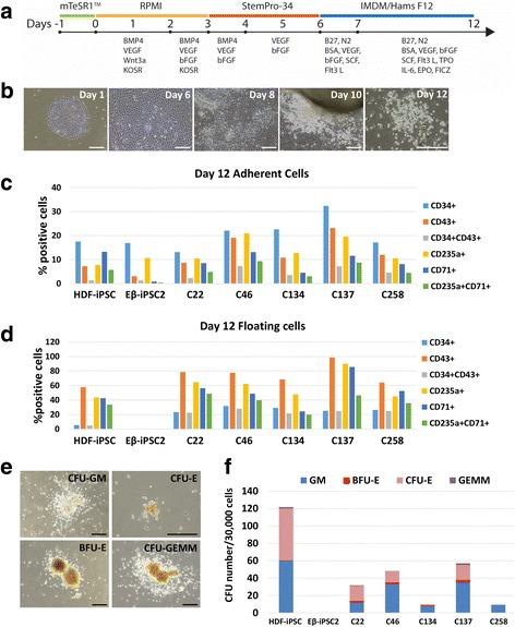 https://cdn.ncbi.nlm.nih.gov/pmc/blobs/8710/5828150/703d6cc101a1/13287_2018_779_Fig3_HTML.jpg
