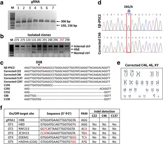 https://cdn.ncbi.nlm.nih.gov/pmc/blobs/8710/5828150/aa842f23ffd6/13287_2018_779_Fig2_HTML.jpg
