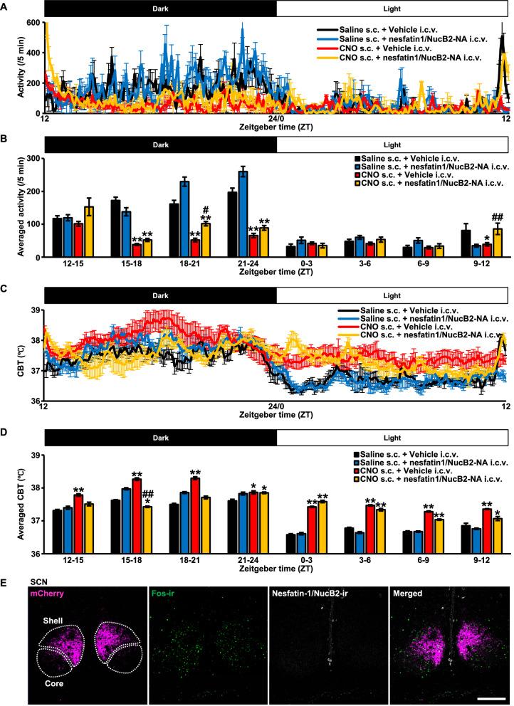 https://cdn.ncbi.nlm.nih.gov/pmc/blobs/8713/10717637/27a286078450/12576_2021_802_Fig5_HTML.jpg